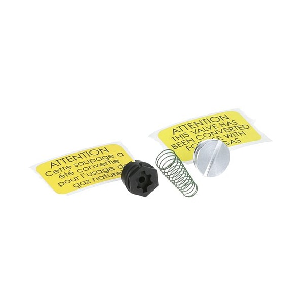 Regulator Conversion